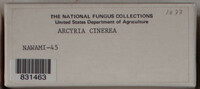 Image Associated With the Occurence